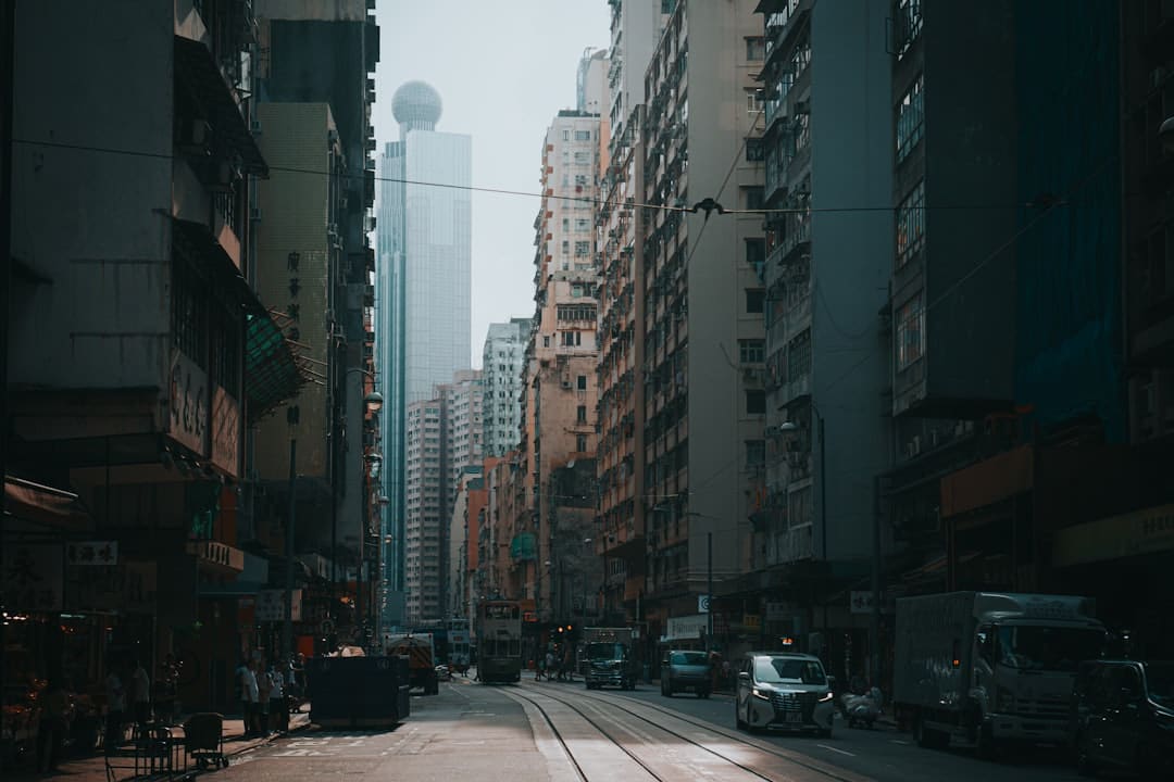 江西发现新物种婺源合跳蛛